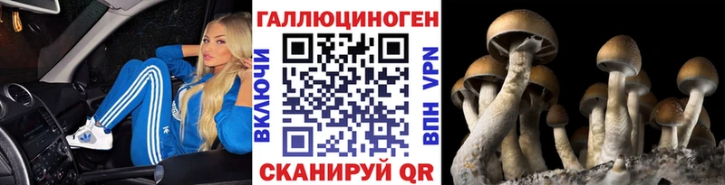 сколько стоит  Коркино  Галлюциногенные грибы GOLDEN TEACHER 