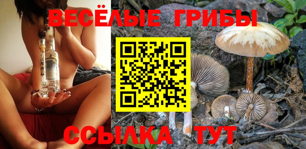 Коркино  Галлюциногенные грибы прущие грибы  Вход с VPN  Галлюциногенные грибы Cubensis 