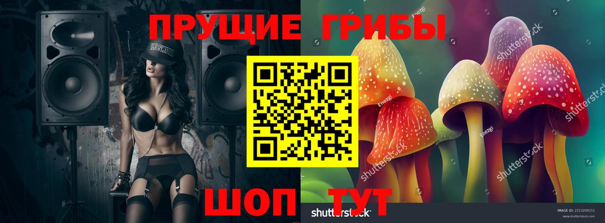 Галлюциногенные грибы Psilocybine cubensis Коркино